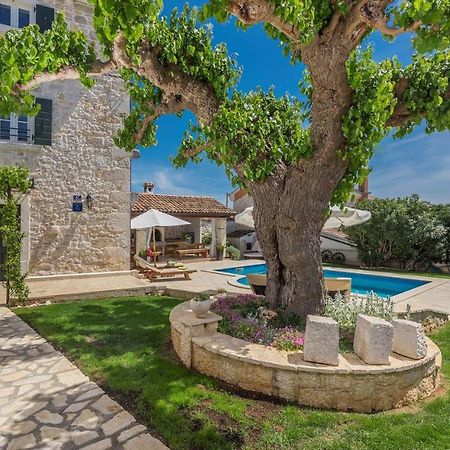 Beautiful Stone House - Villa Parentium With Private Pool Dracevac Exterior photo